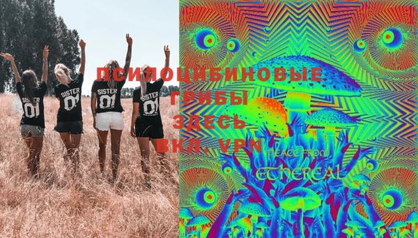 амф Балахна