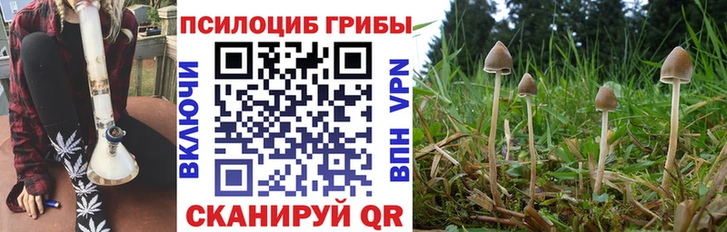 закладка  omg рабочий сайт  Псилоцибиновые грибы прущие грибы  Озёры 